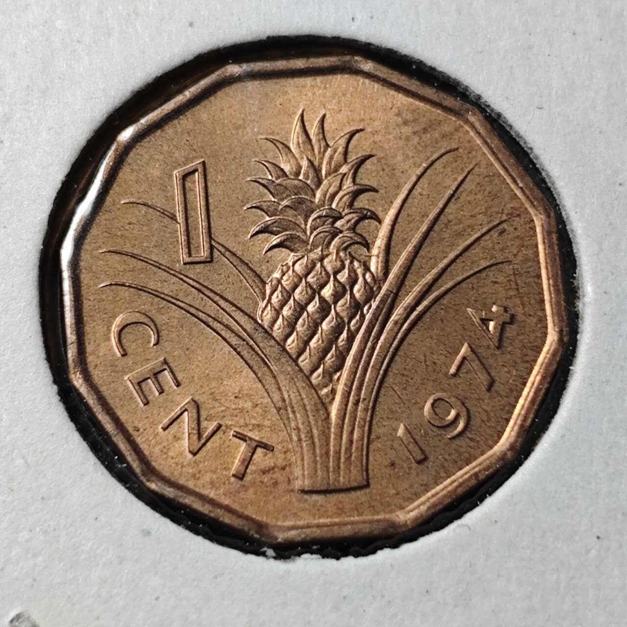 KK钱币收藏小铺  第368场  2月预留时间 周末发货  1974斯威士兰1分铜币 好品