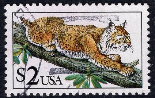 洪涛臻品批发群 精选邮票限时拍卖第1164期  美国高值邮票 $2美元