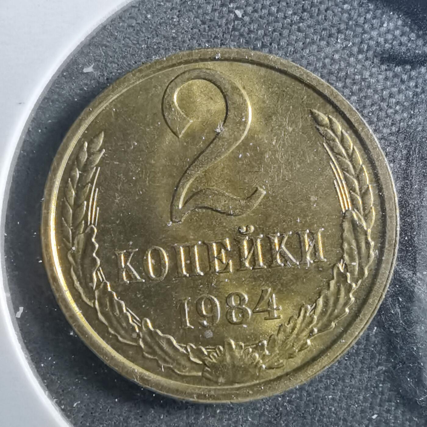 沼泽如烟--第899场