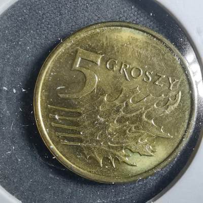 沼泽如烟--第899场 - 波兰2024年5格罗申