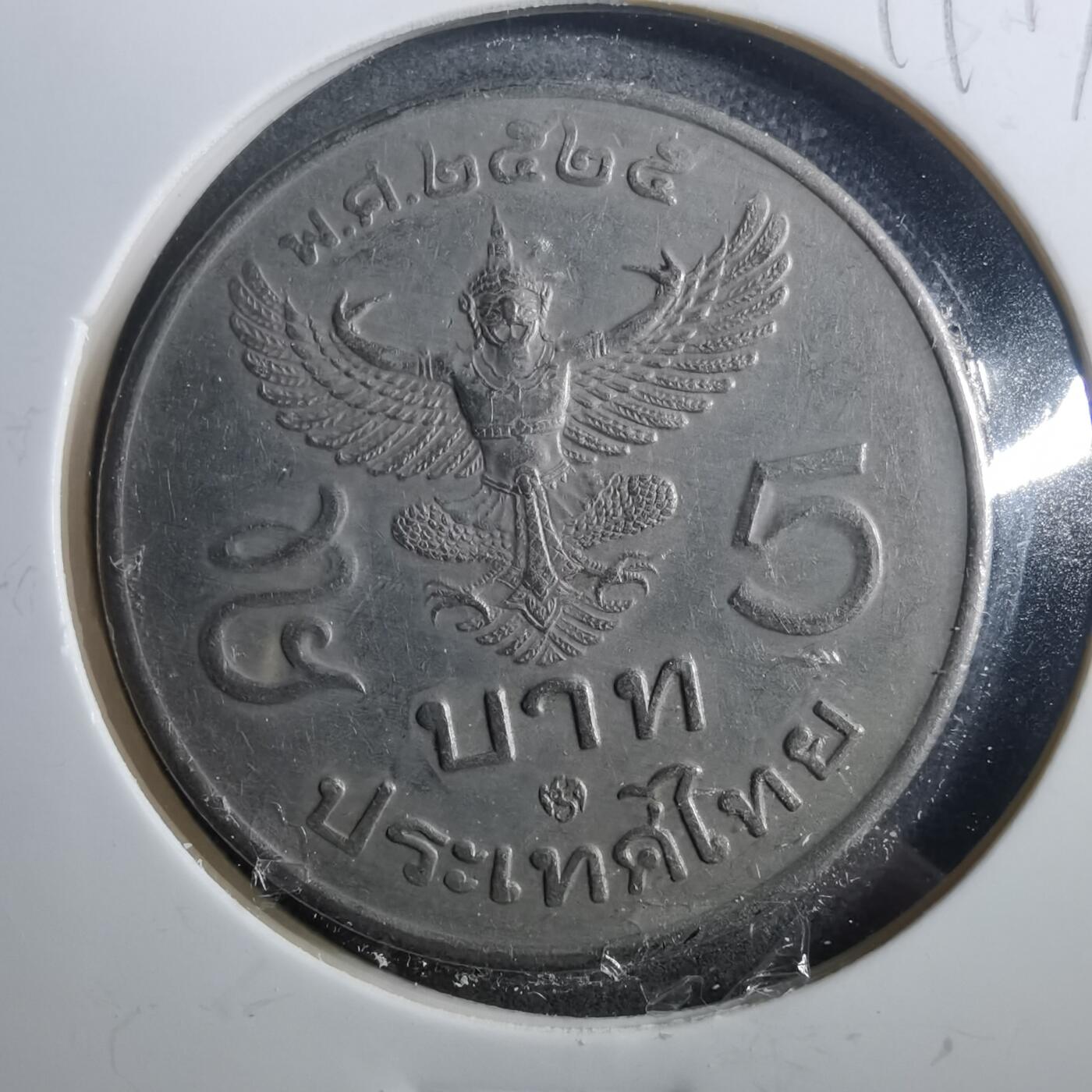 沼泽如烟--第899场 泰国