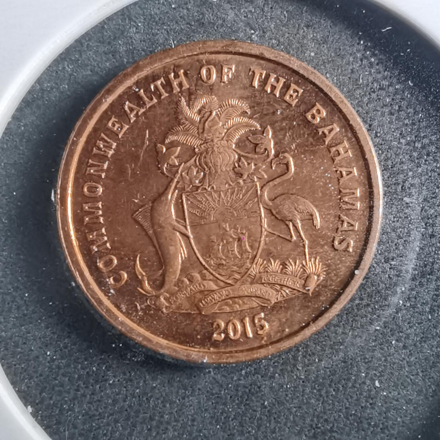 沼泽如烟--第899场