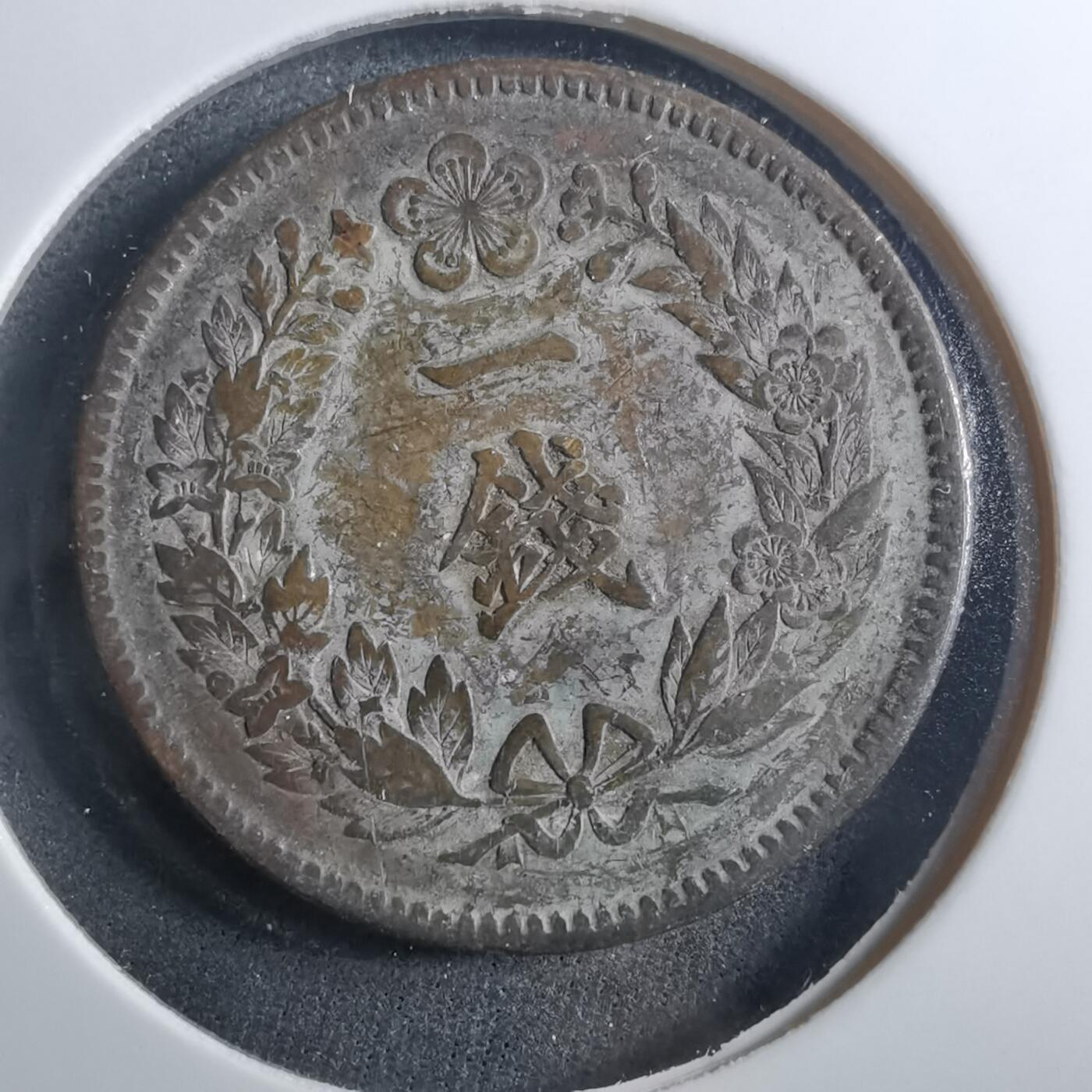 沼泽如烟--第899场