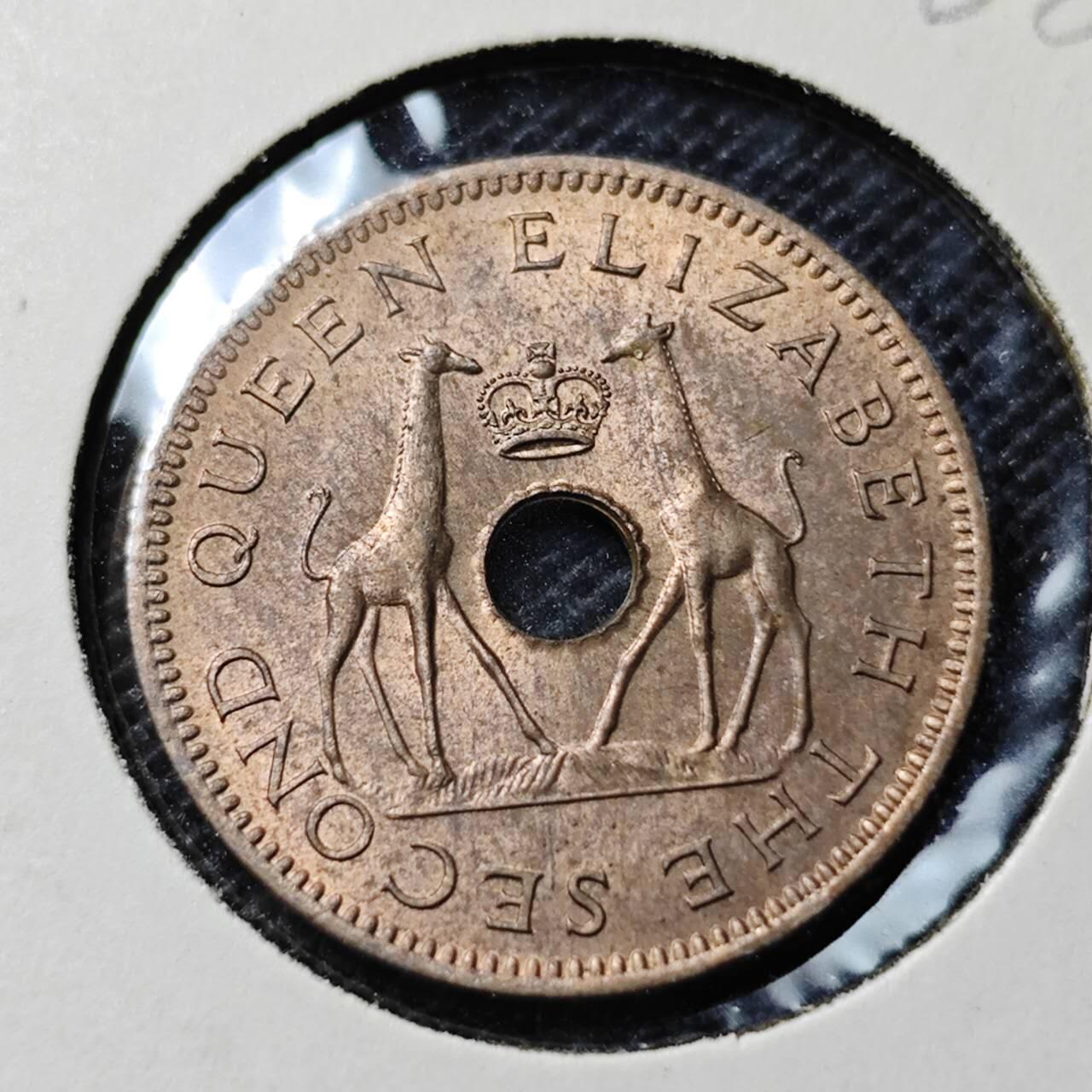 KK钱币收藏小铺  第368场  2月预留时间 周末发货  1964罗得西亚0.5便士 好品