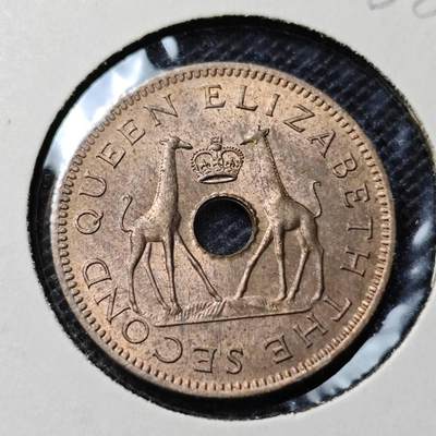 KK钱币收藏小铺  第368场  2月预留时间 周末发货 -  1964罗得西亚0.5便士 好品
