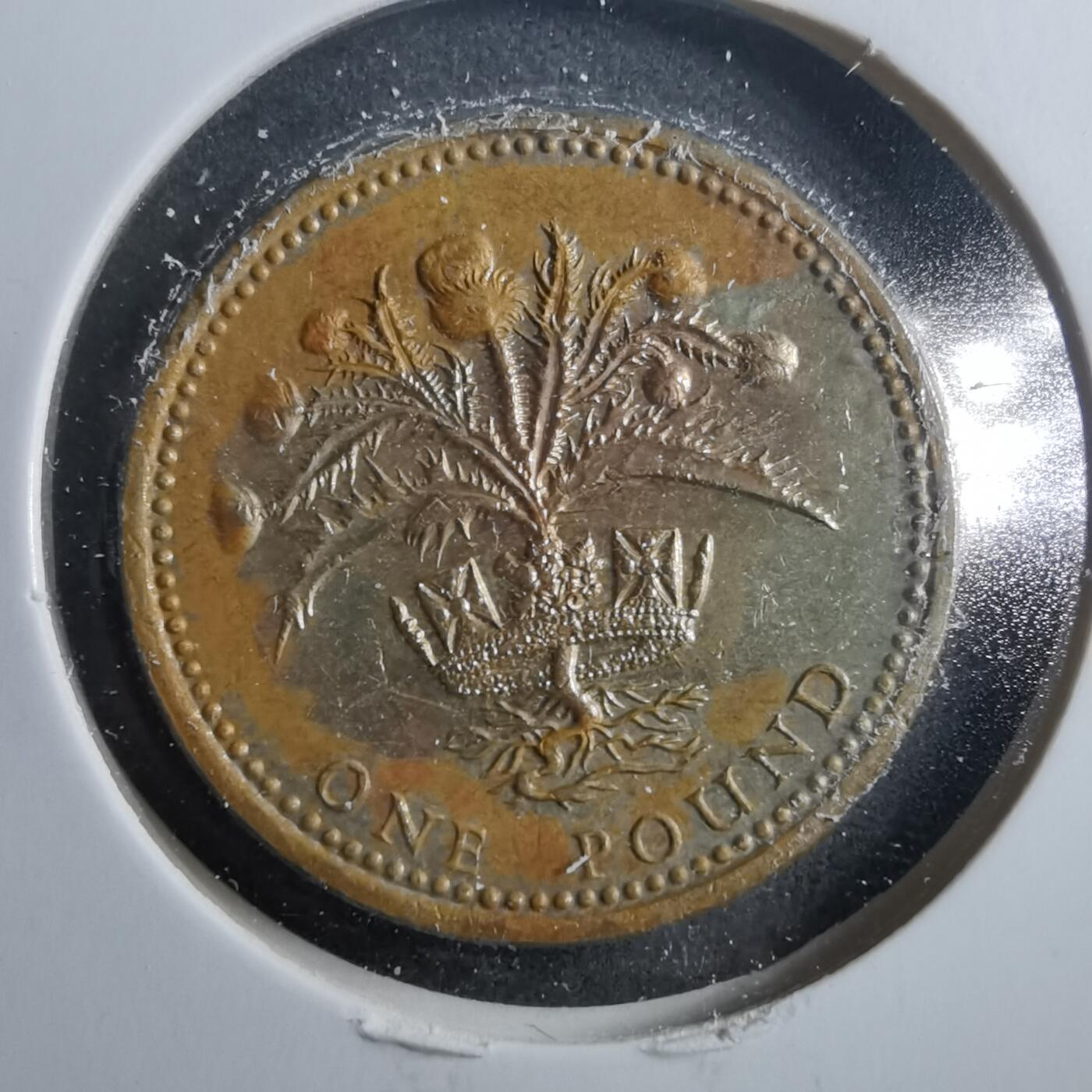 沼泽如烟--第899场 英国1984年1磅