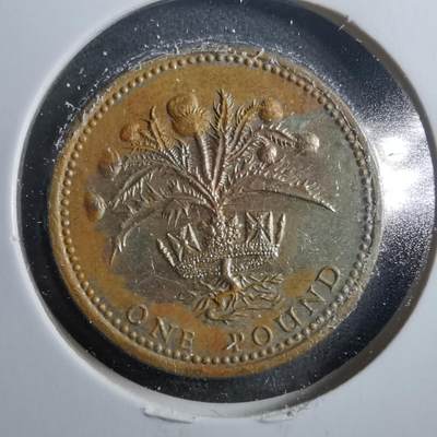 沼泽如烟--第899场 - 英国1984年1磅