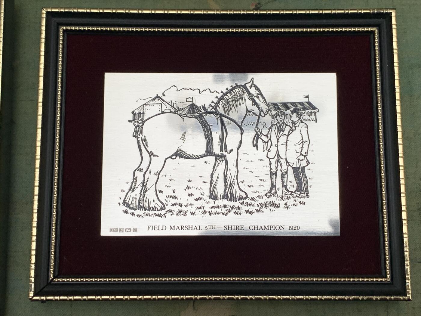 《竞宝斋》第437场 周日，周一2场连拍 （全场包邮）