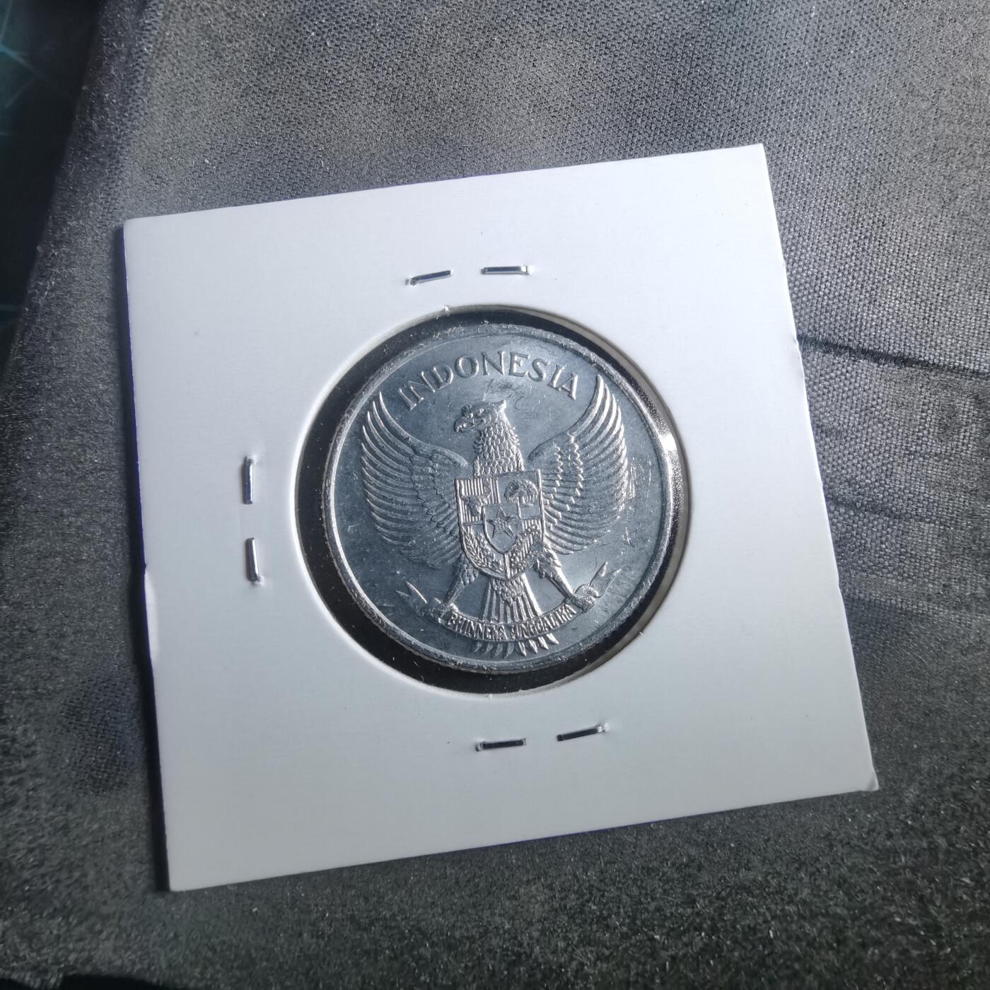 沼泽如烟--第899场