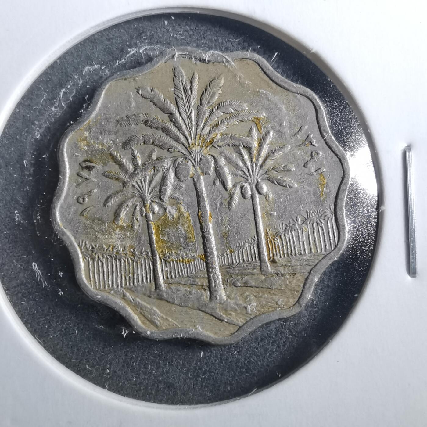 沼泽如烟--第899场 伊拉克