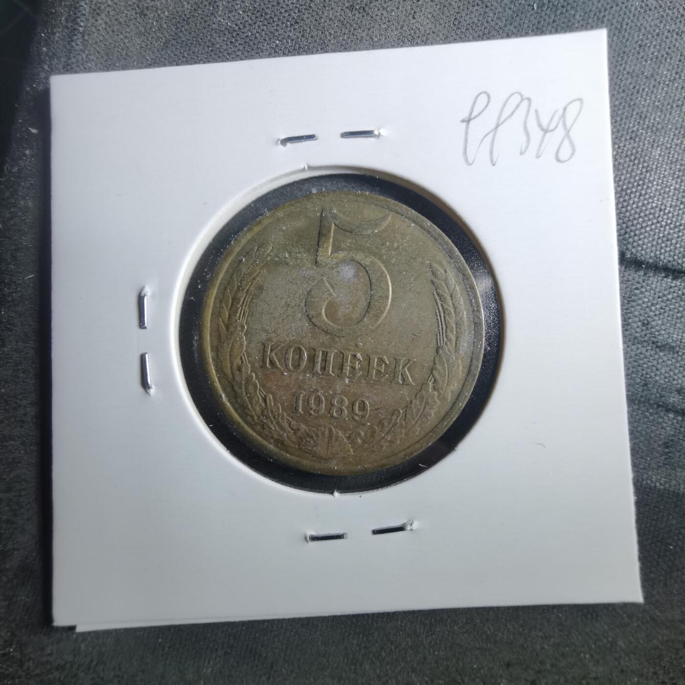 沼泽如烟--第899场