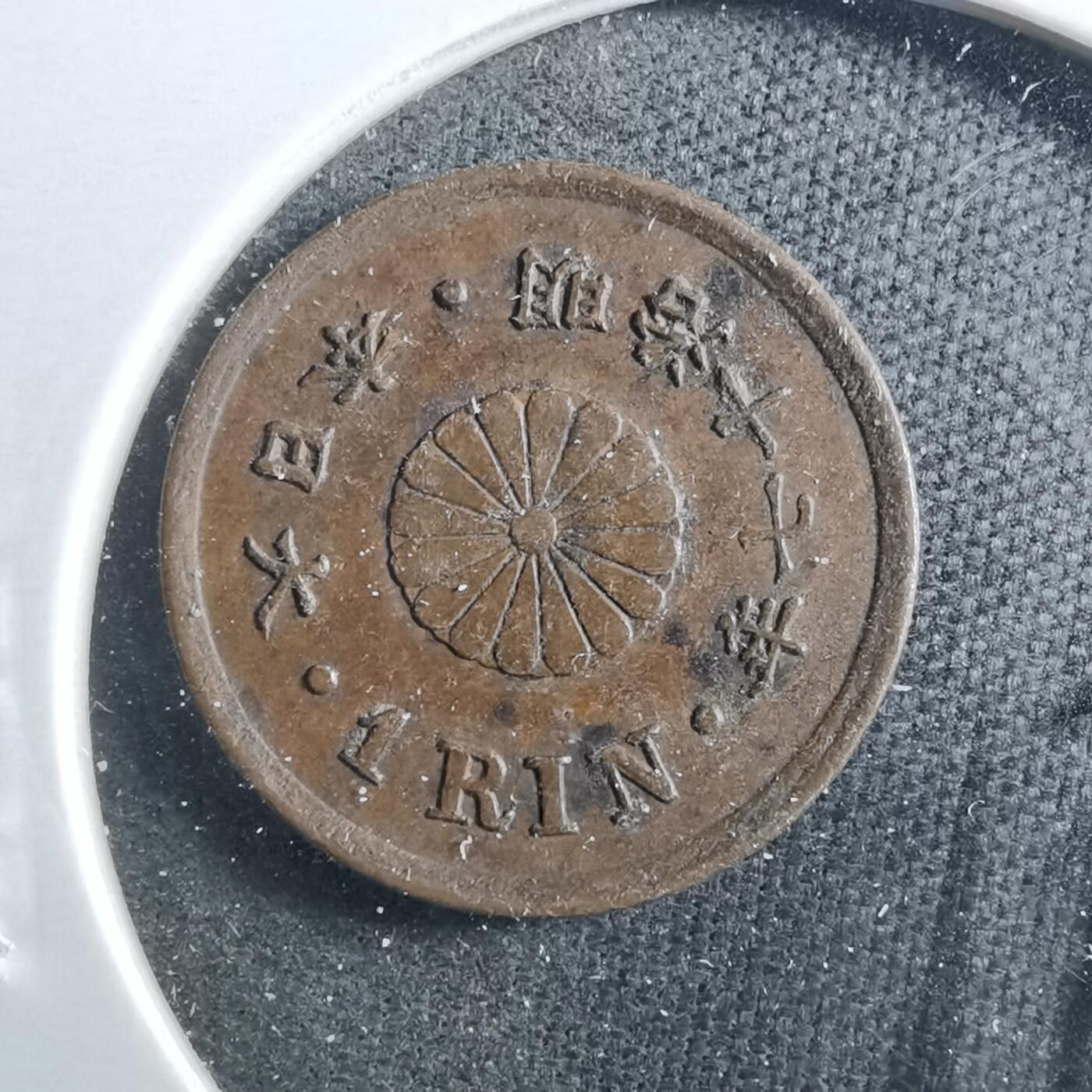 沼泽如烟--第899场