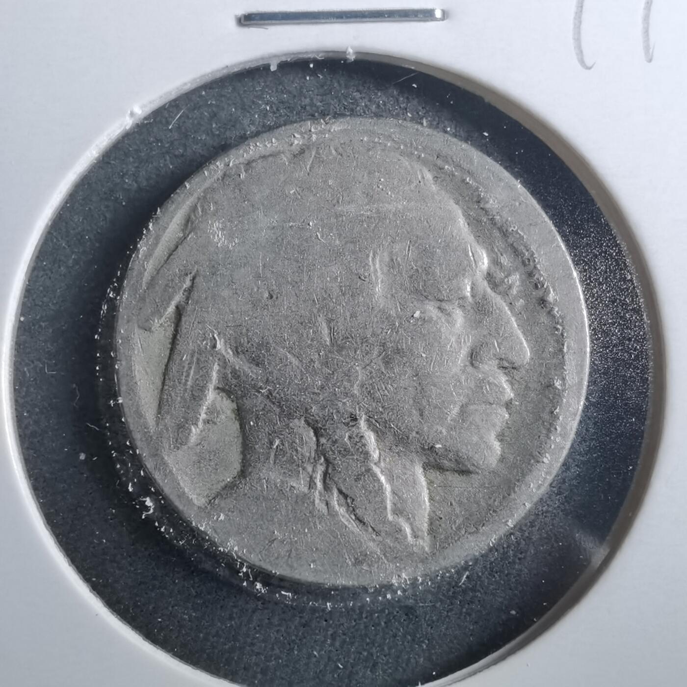 沼泽如烟--第899场 美国野牛五分