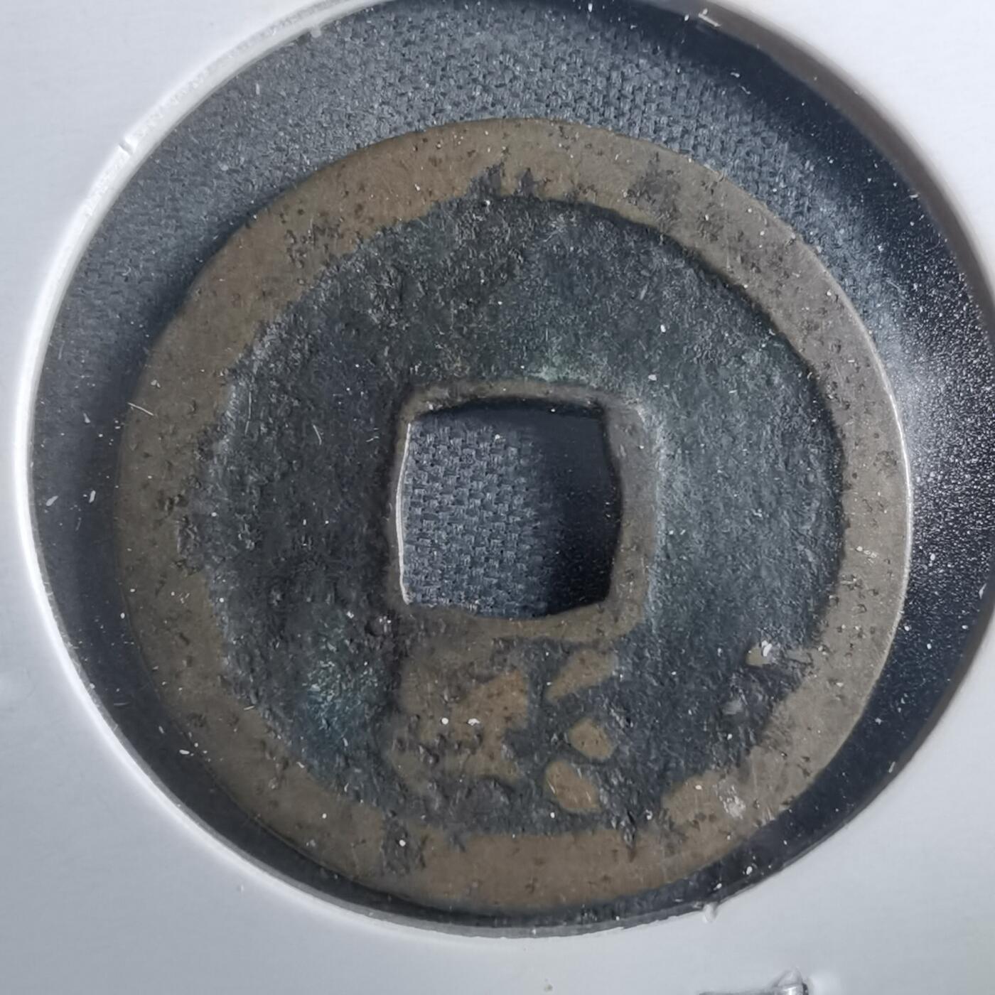 沼泽如烟--第899场