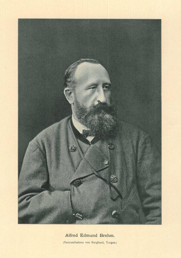 【俄甄集藏】2025年(044)11-12星期三晚 19:30 全场包邮 民主德国（东德）1984年A版非洲秃鹳插画，纪念动物学家、插图画家艾尔弗雷德·布雷姆逝世100周年10马克银币，NGC MS68，亚军，重17克，50%银，发行量50000枚，东德精制币里的名誉品种，少见品种