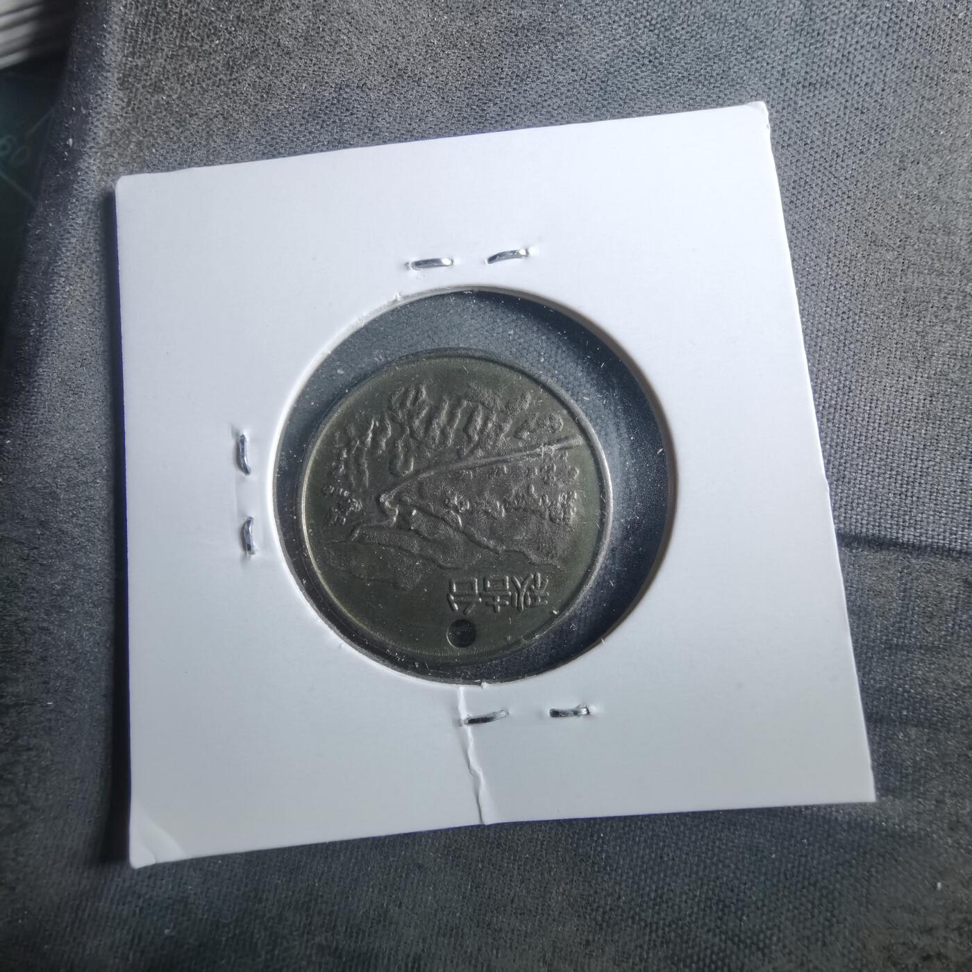 沼泽如烟--第899场