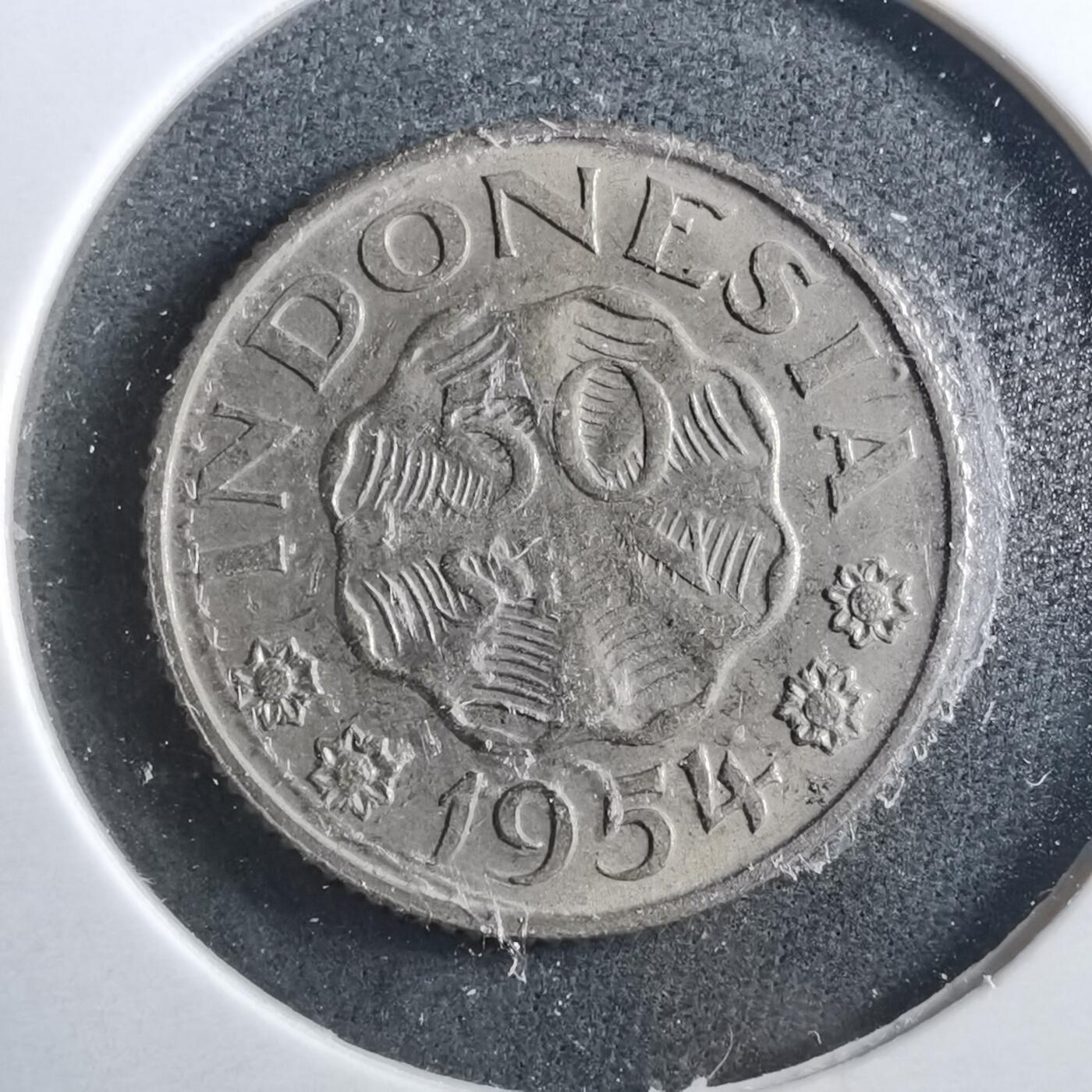 沼泽如烟--第899场