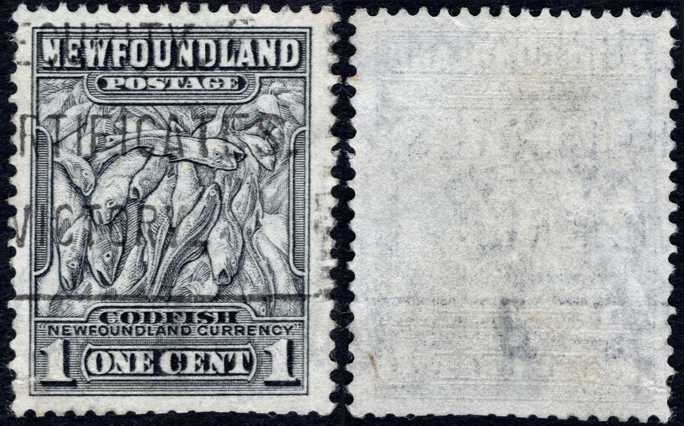 洪涛臻品批发群 精选邮票限时拍卖第1170期  纽芬兰 鳕鱼一大堆