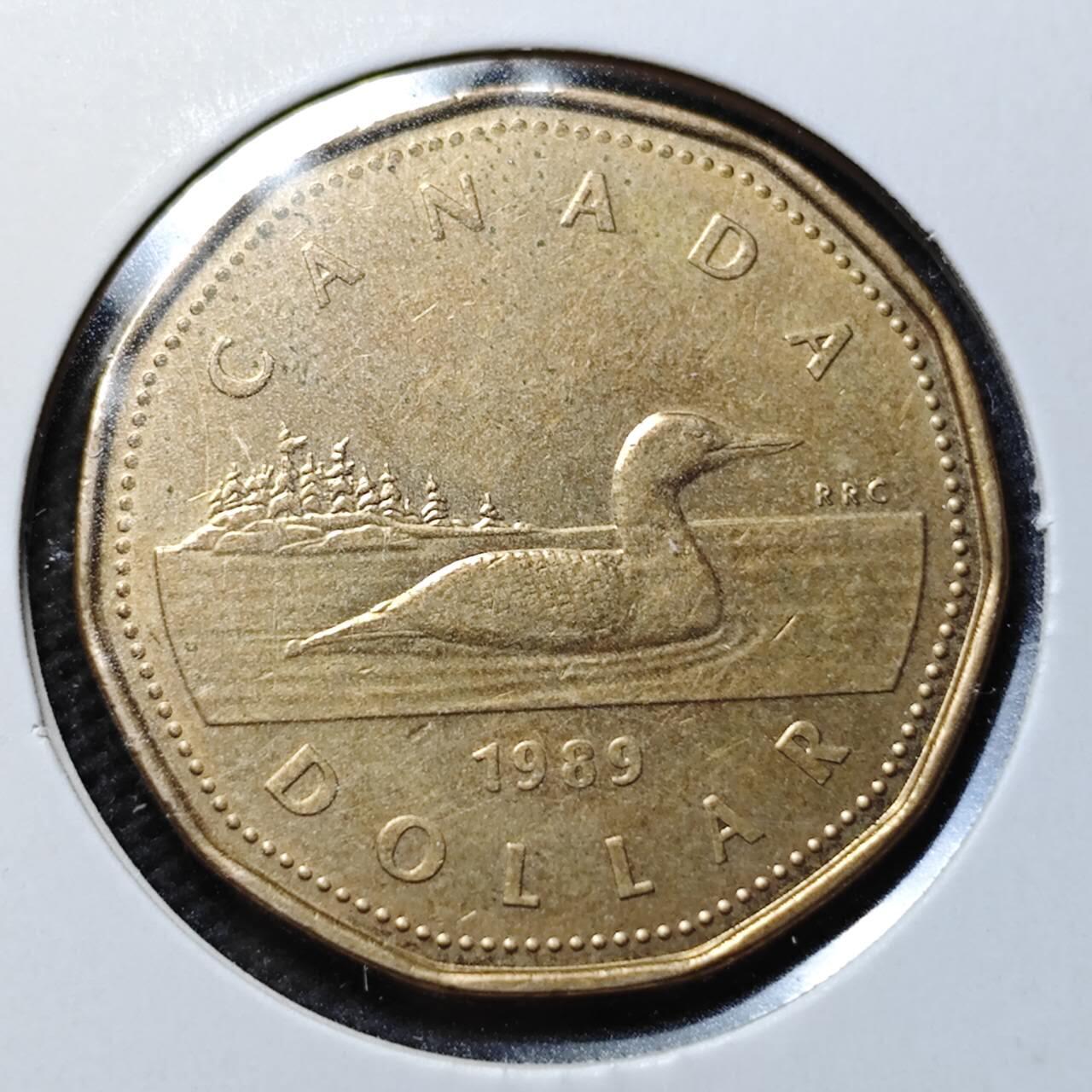 KK钱币收藏小铺  第368场  2月预留时间 周末发货  加拿大1元