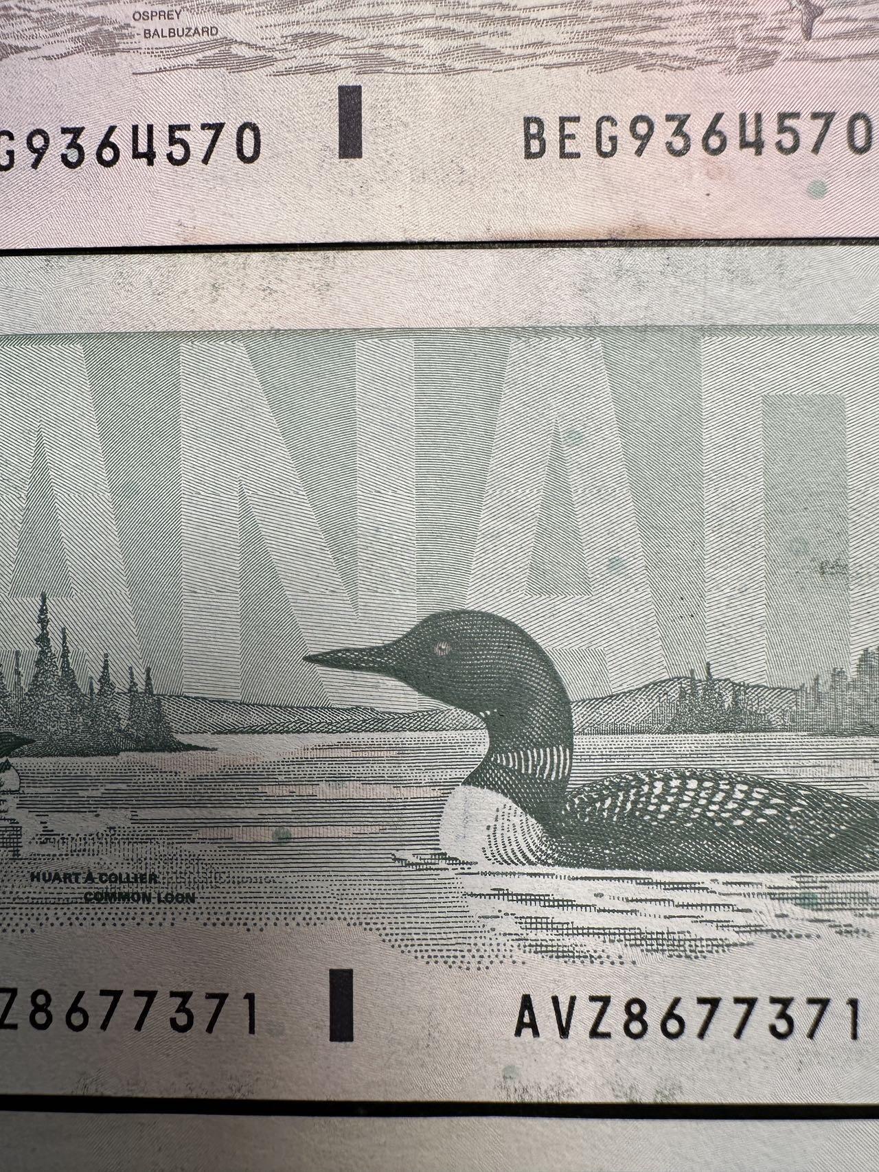 蒂克钱币-第47场 外国平价纸币拍卖 加拿大 1986-1991年 125加元纸币 AU- UNC