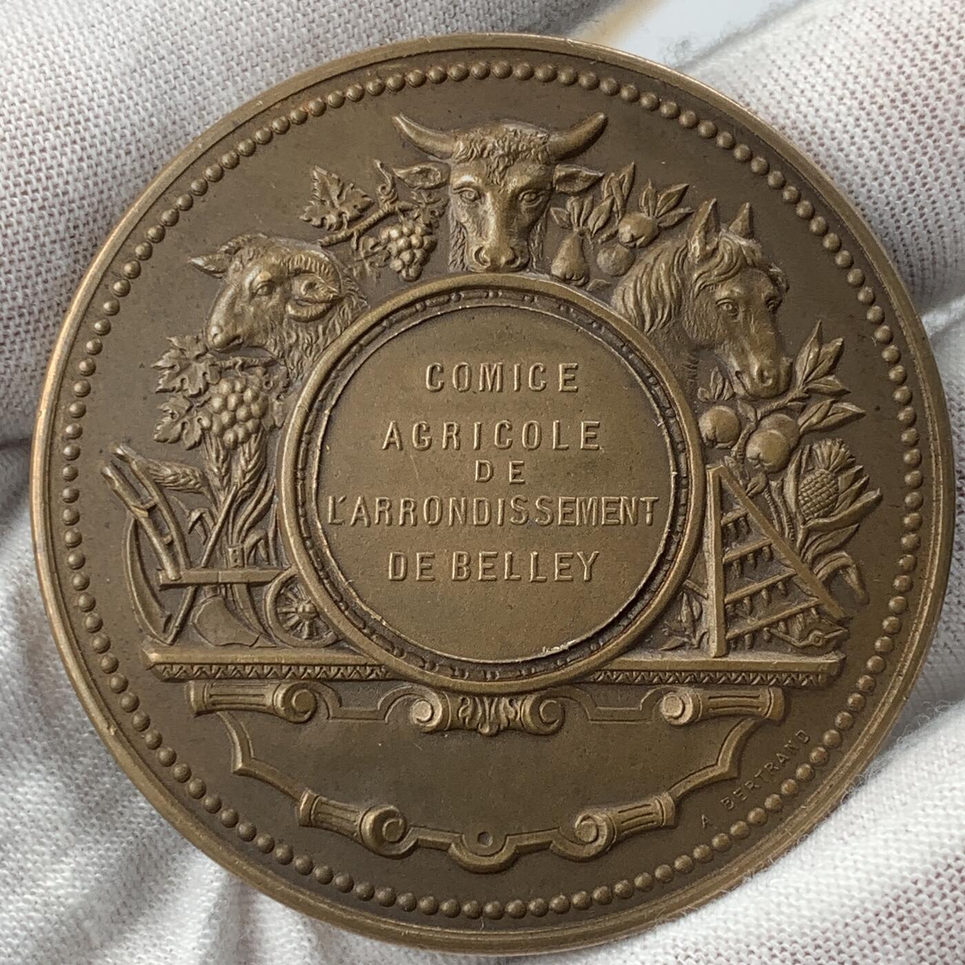 掌中浮雕-藏着的欧洲第041场 法国玛丽安娜农业铜章，51mm