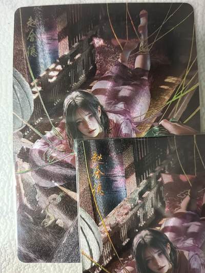 花开卡拍第47期（11月16号周日截拍，品控勿拍!!!拍品不寄存，运费5元，自制卡难免瑕疵，可能存在轻微撞角爆边等出厂瑕疵，品控介意勿拍！） - 燎原 人间传 刷子 赵合德双服饰 幻彩粗闪2张