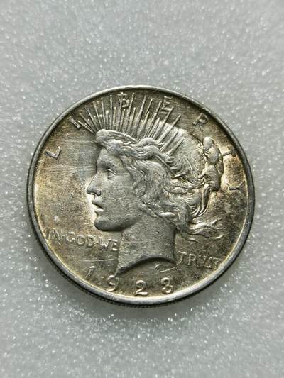 天下钱庄专场欢迎参拍 - 美国和平鸽一美元银币