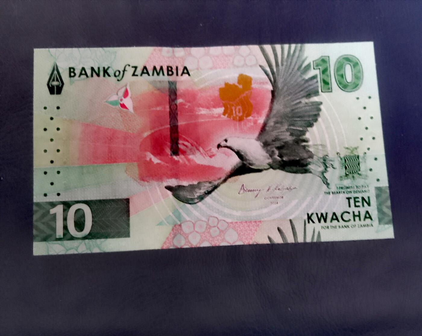 全新赞比亚2024年10克瓦查乱蛇号靓品纸币