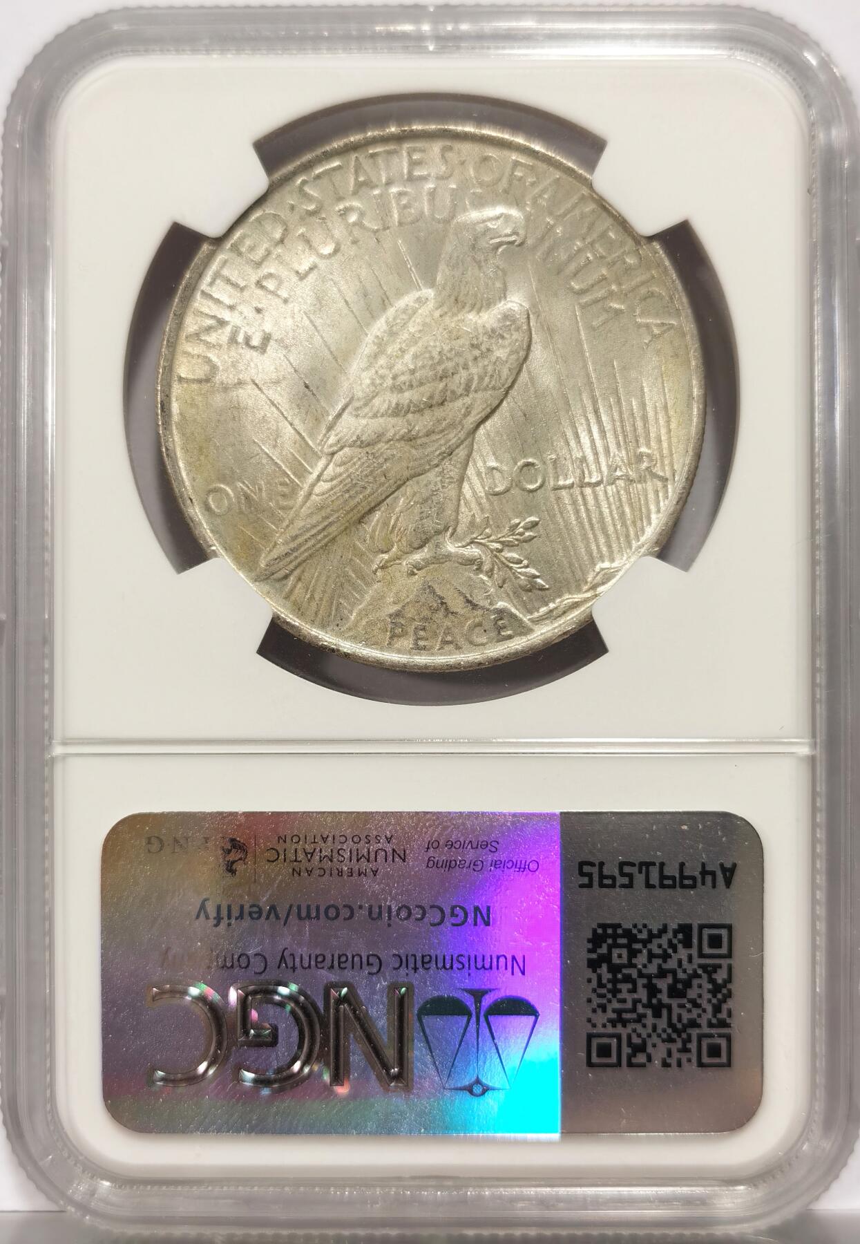 博洋堂世界钱币拍卖第146期（全场包邮） NGC MS63 美国1923年和平银币，淡包浆好品，BU转光。