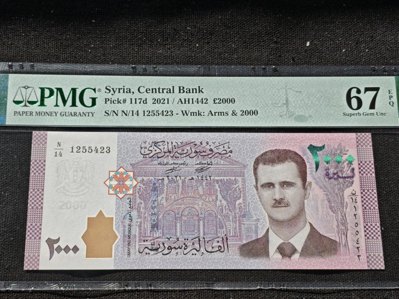 刘世昌艺术品销售中心～虎踞龙蟠*金杨在线联拍群第509期