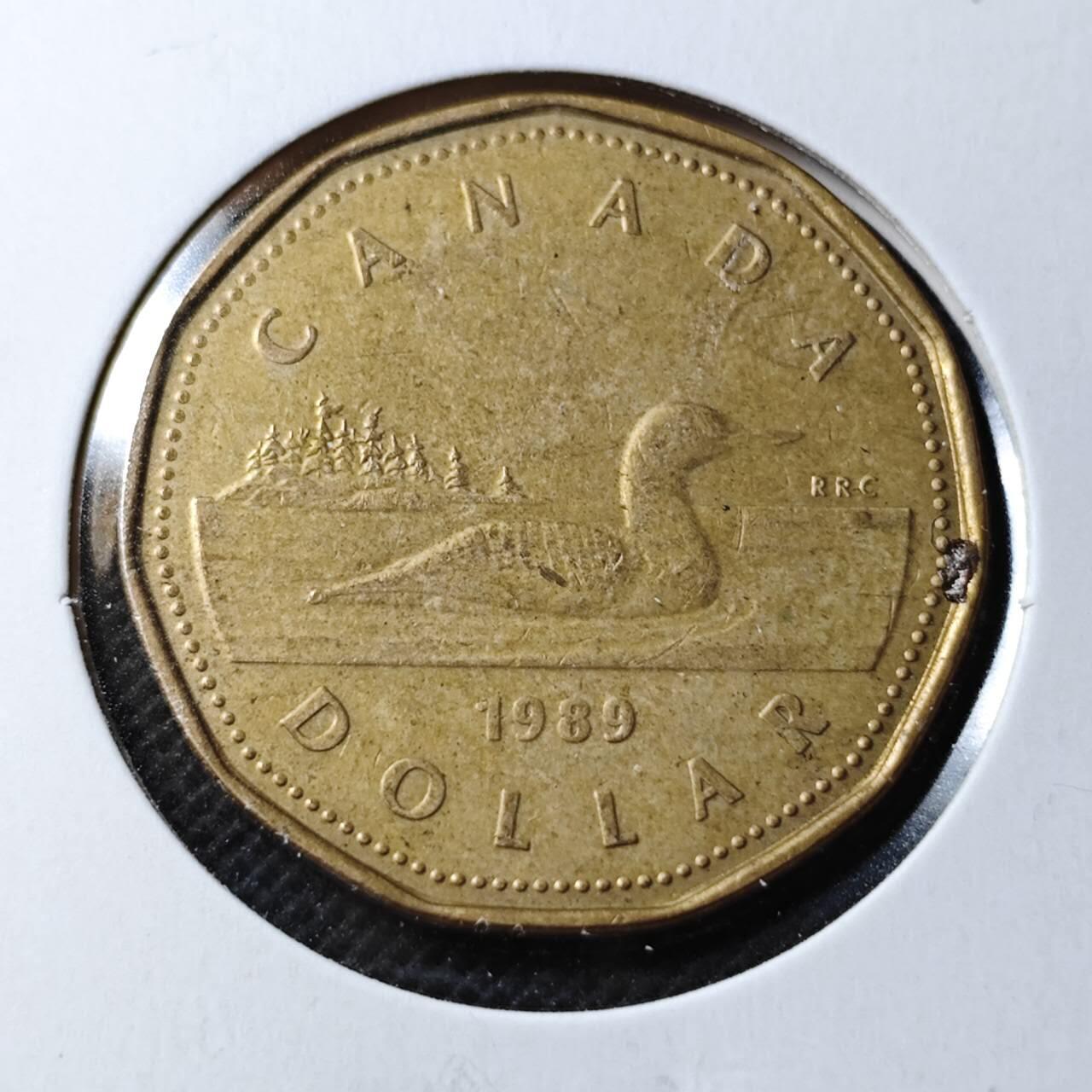 KK钱币收藏小铺  第368场  2月预留时间 周末发货  加拿大1元