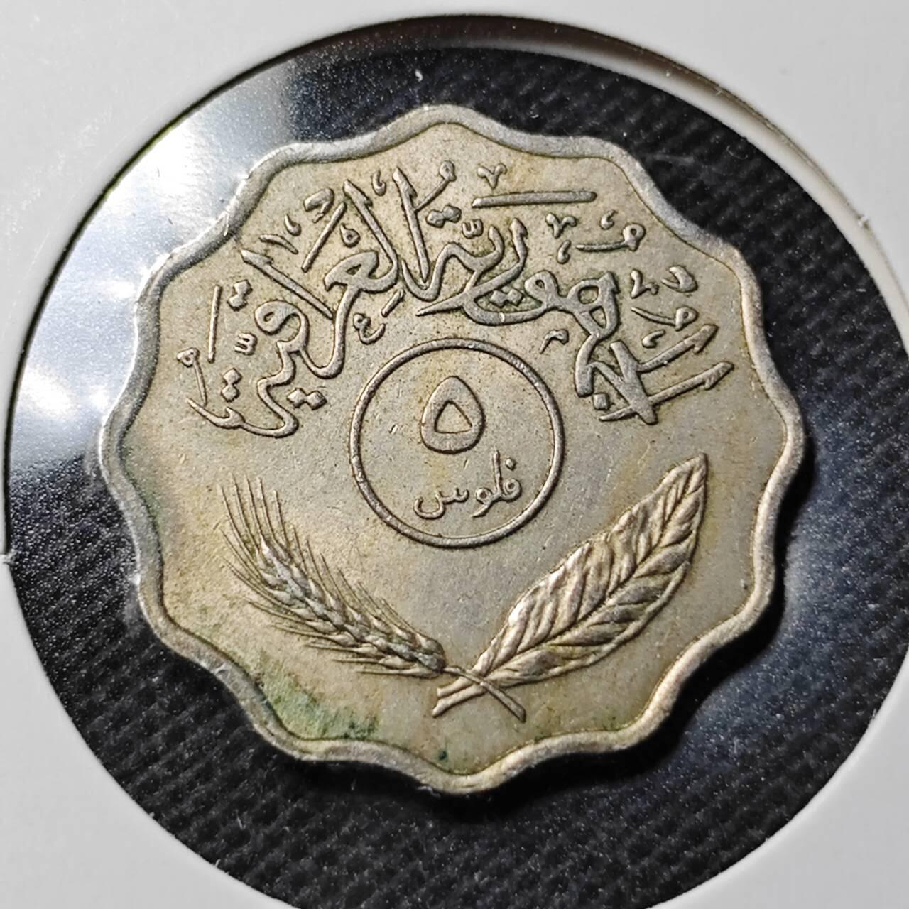 KK钱币收藏小铺  第368场  2月预留时间 周末发货  伊拉克5费尔 深打立体 椰树