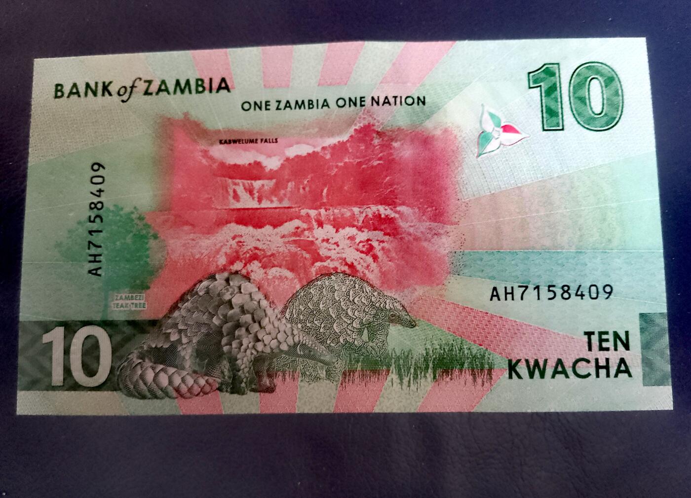 全新赞比亚2024年10克瓦查乱蛇号靓品纸币