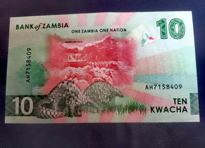 全新赞比亚2024年10克瓦查乱蛇号靓品纸币 - 全新赞比亚2024年10克瓦查乱蛇号靓品纸币