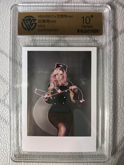 花开卡拍第47期（11月16号周日截拍，品控勿拍!!!拍品不寄存，运费5元，自制卡难免瑕疵，可能存在轻微撞角爆边等出厂瑕疵，品控介意勿拍！） - ccg范海带十星评级卡 RE03