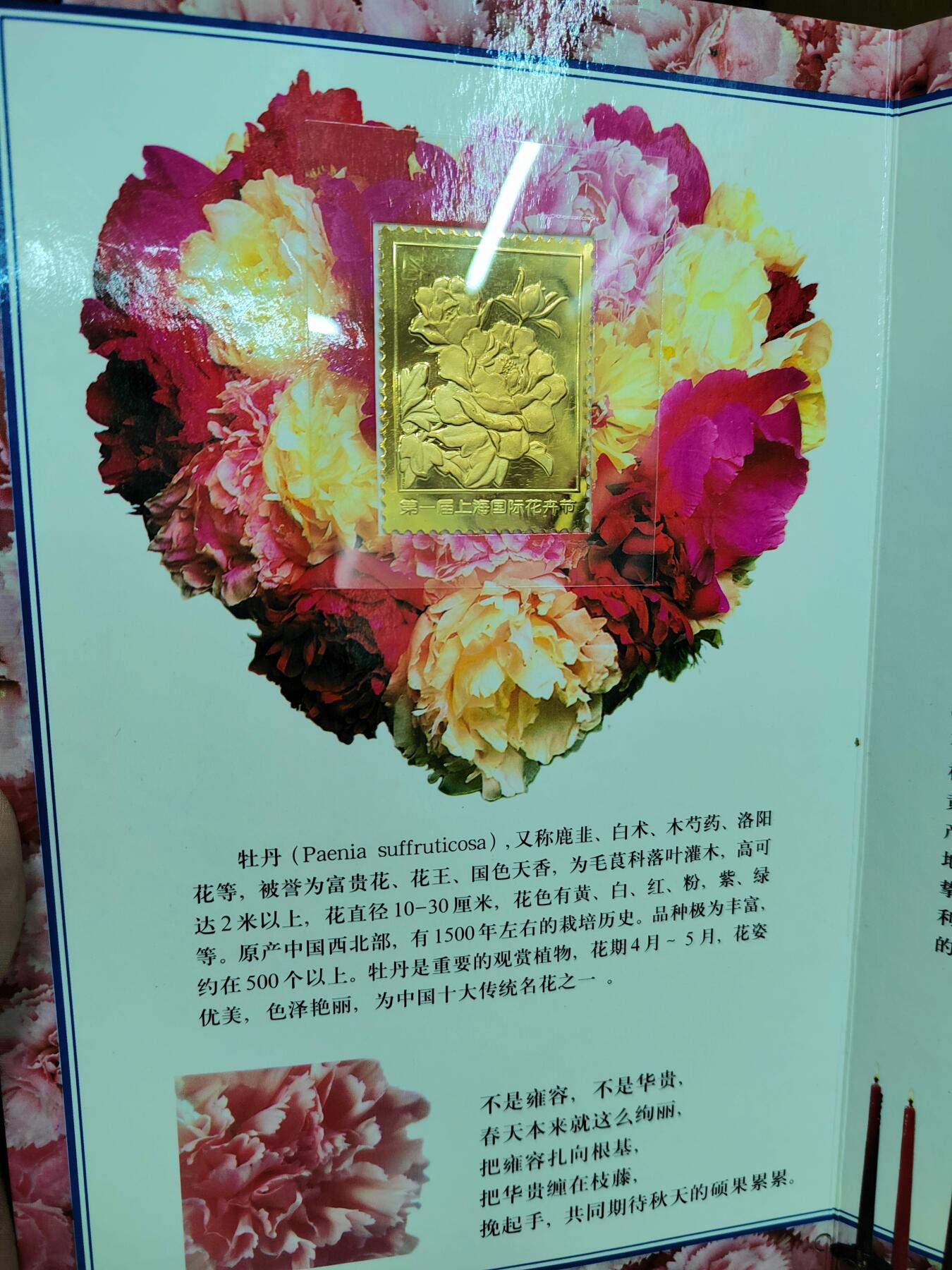 PCAI钱币14-599  杂項等小专场 第一届上海花卉节