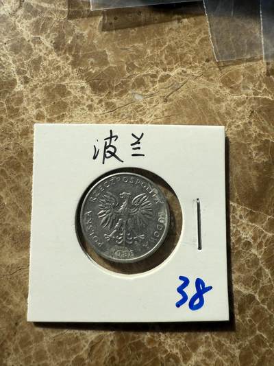 四海杂货铺第十一场 - 波兰硬币