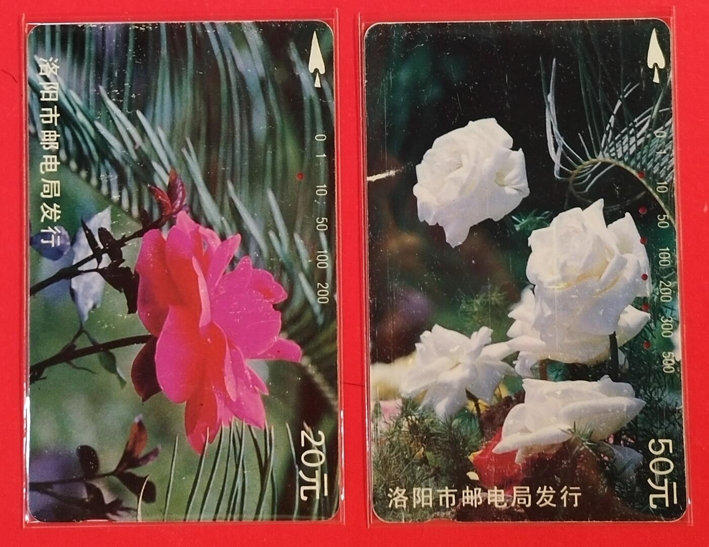 《鸿通俱乐部》拍卖第63期 11月12日21：00延时节拍 河南田村旧卡《月季花》2全  鸿通  64分*2