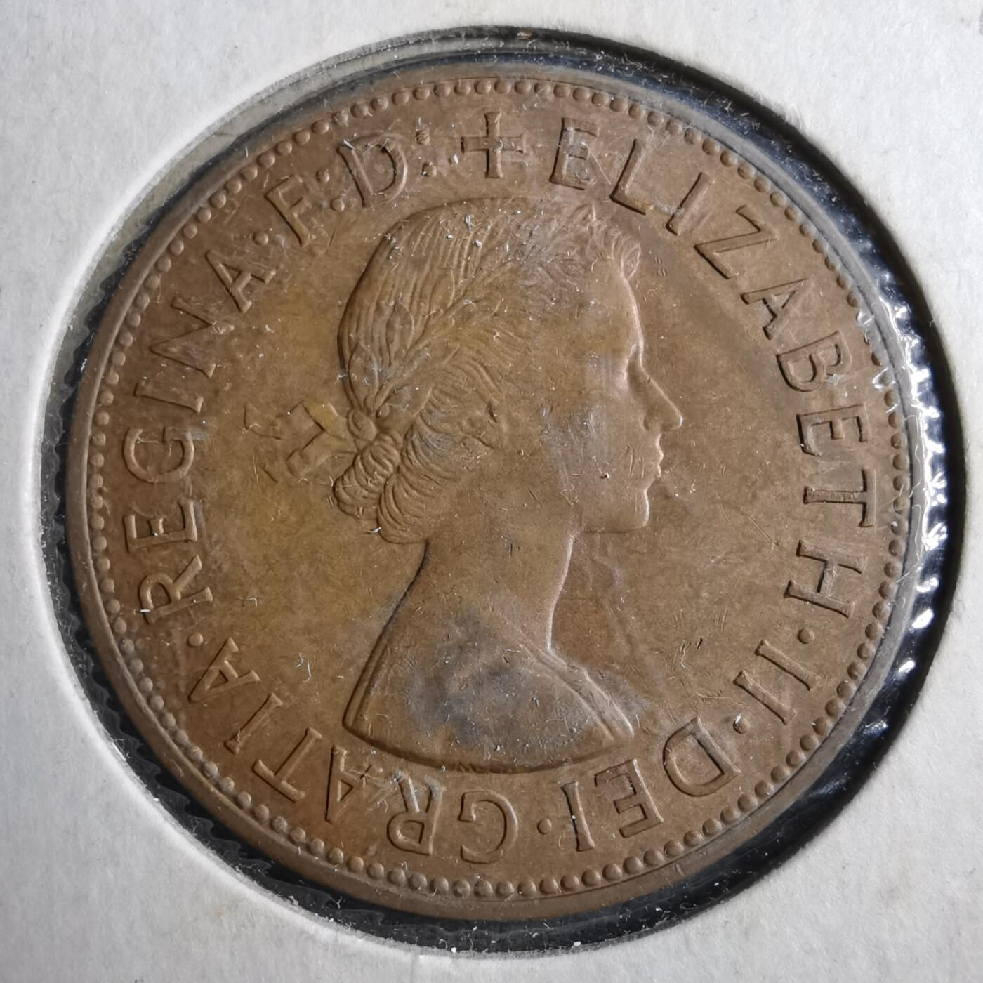 沼泽如烟--第902场