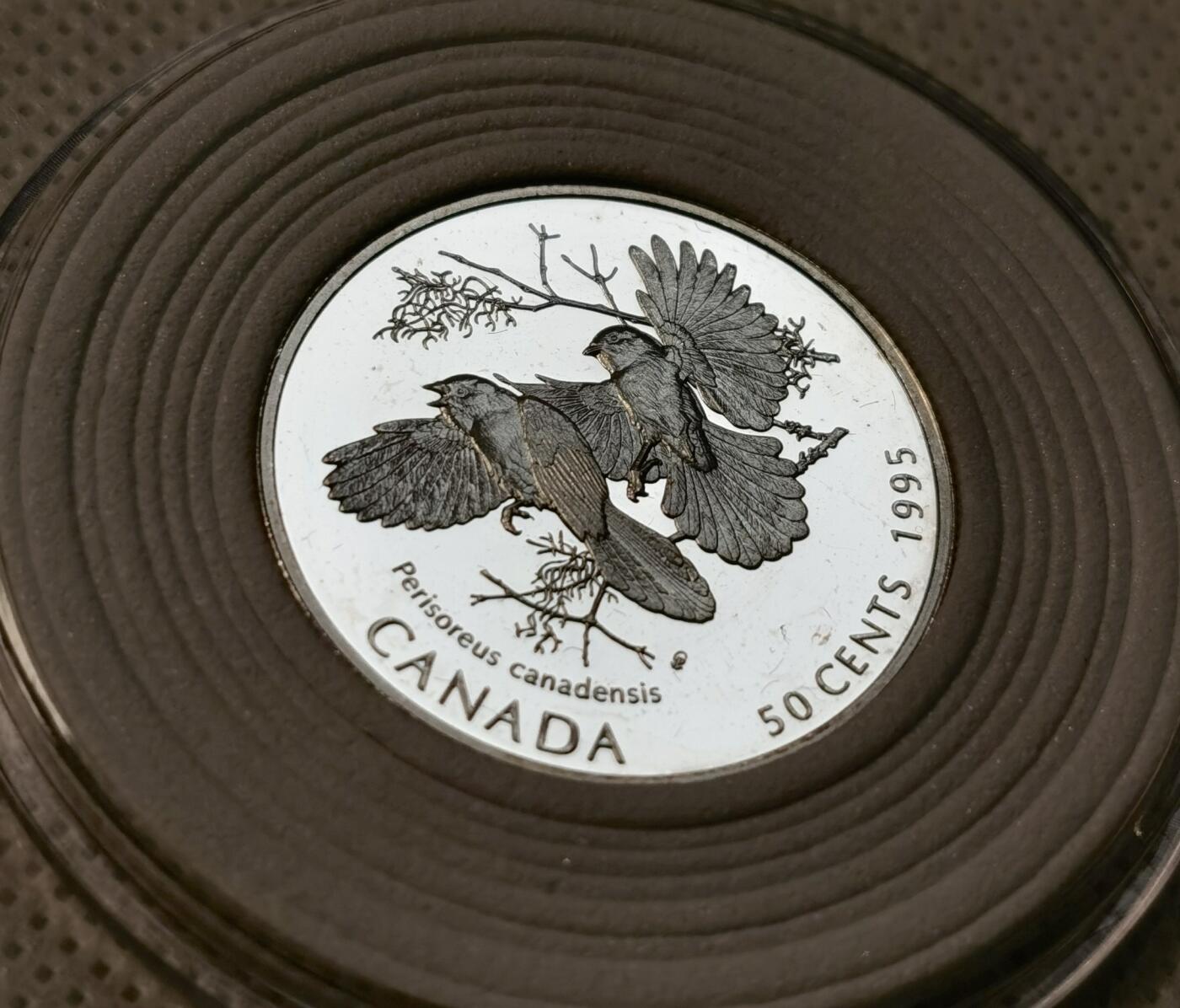 甄臻铺-世界币章拍卖（第39期）送拍享返佣金等优惠多多 加拿大灰噪鸦 PF 精制 50分银币  1995 27.13mm 2.08mm 9.34g 925Ag