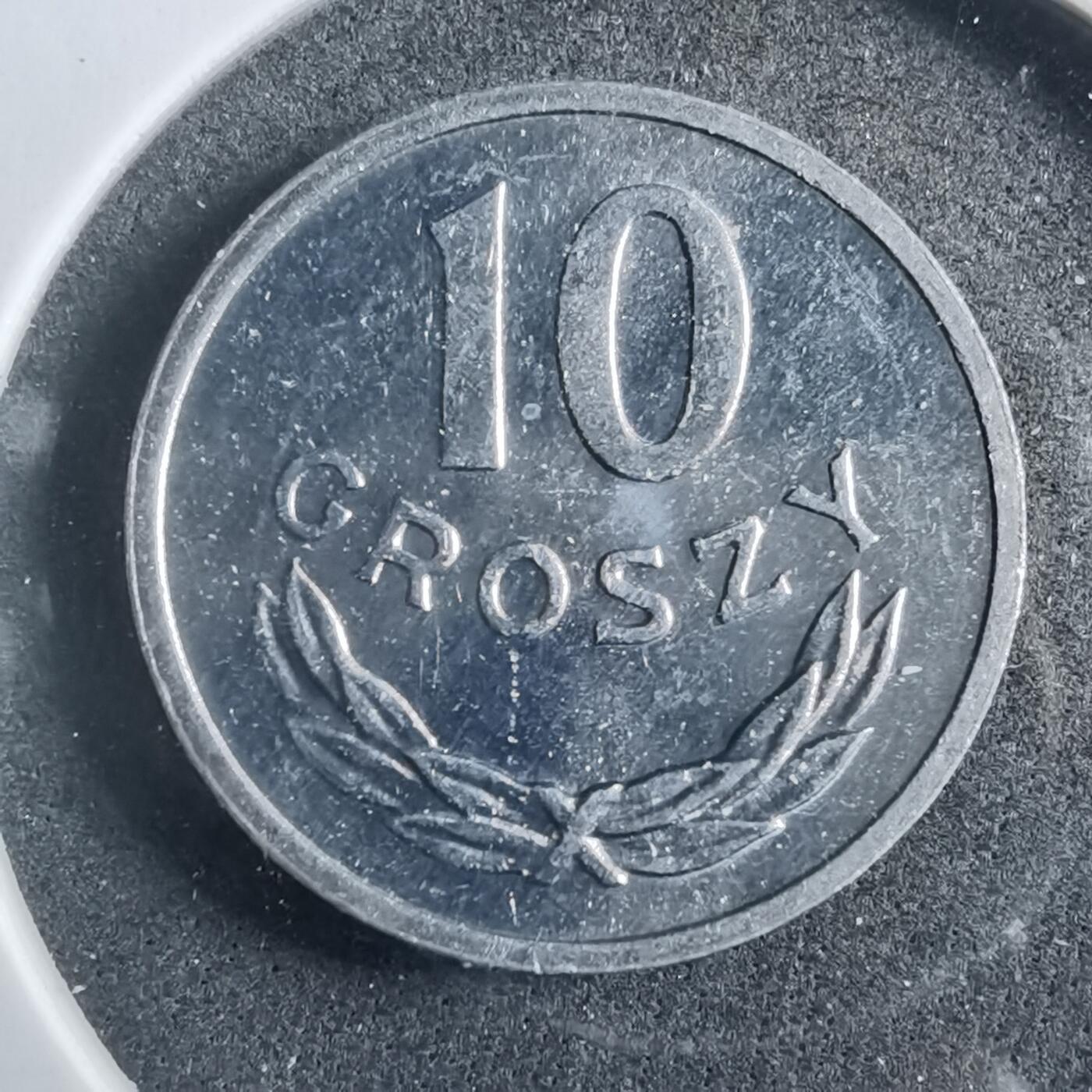 沼泽如烟--第902场