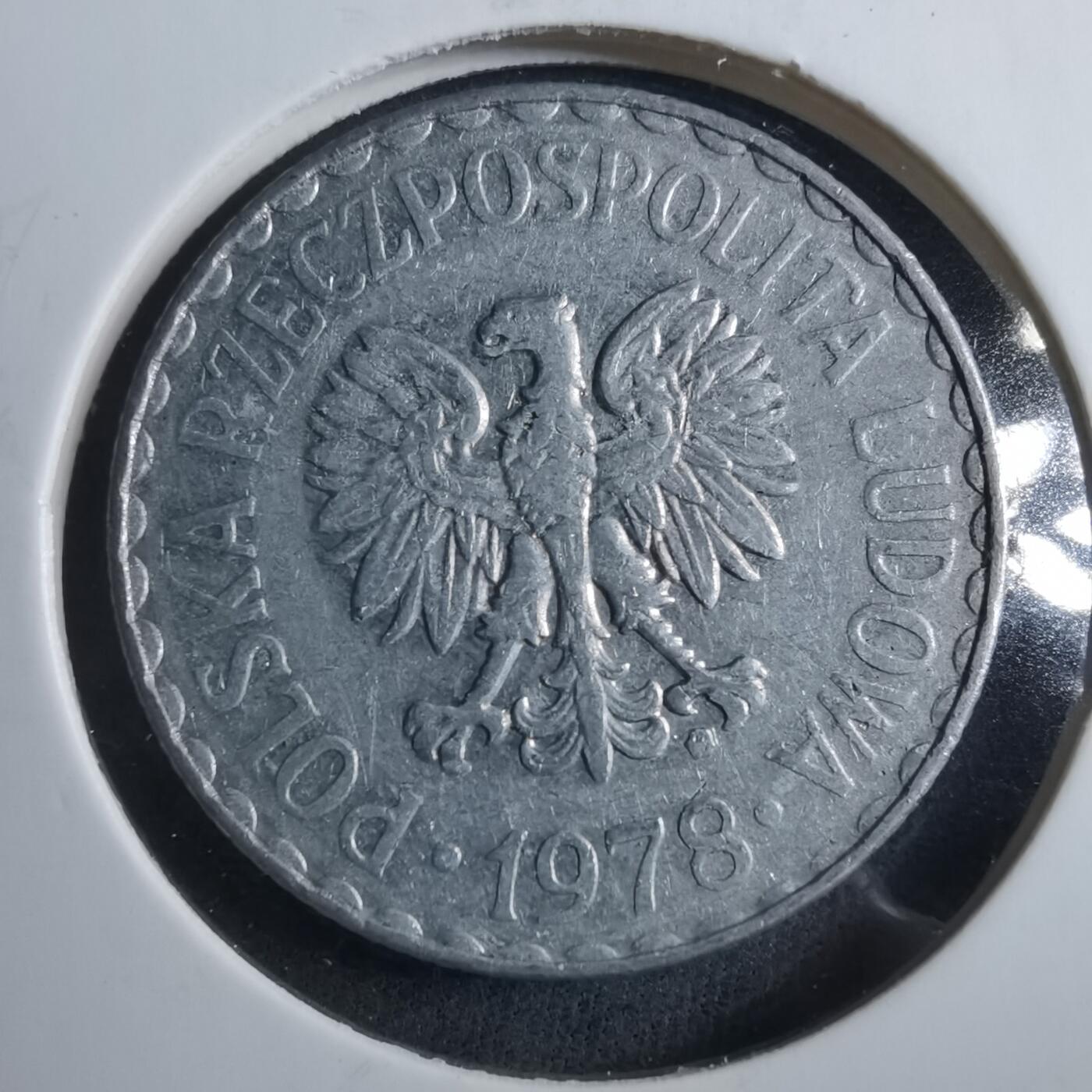 沼泽如烟--第902场