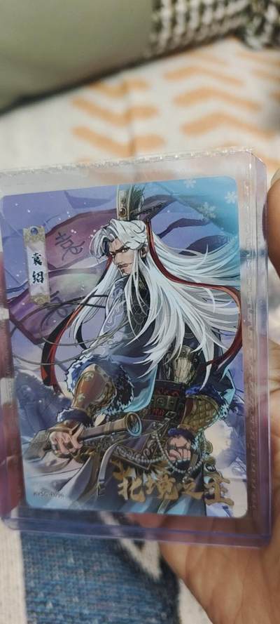 秋原瞳的小店第二十八期（持续收拍，月中，适合出去旅游的季节） - 卡游三国活动卡袁绍原膜