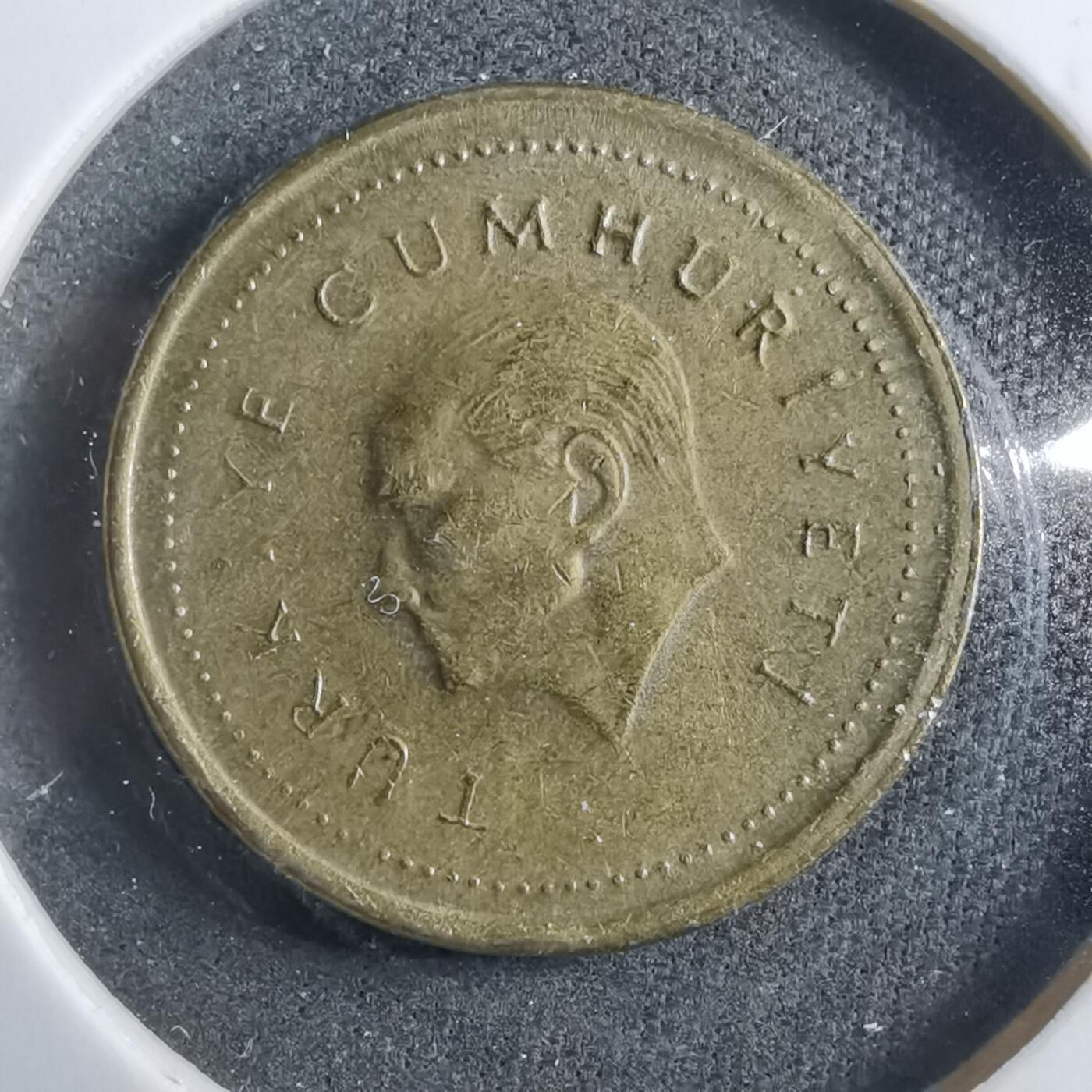 沼泽如烟--第902场