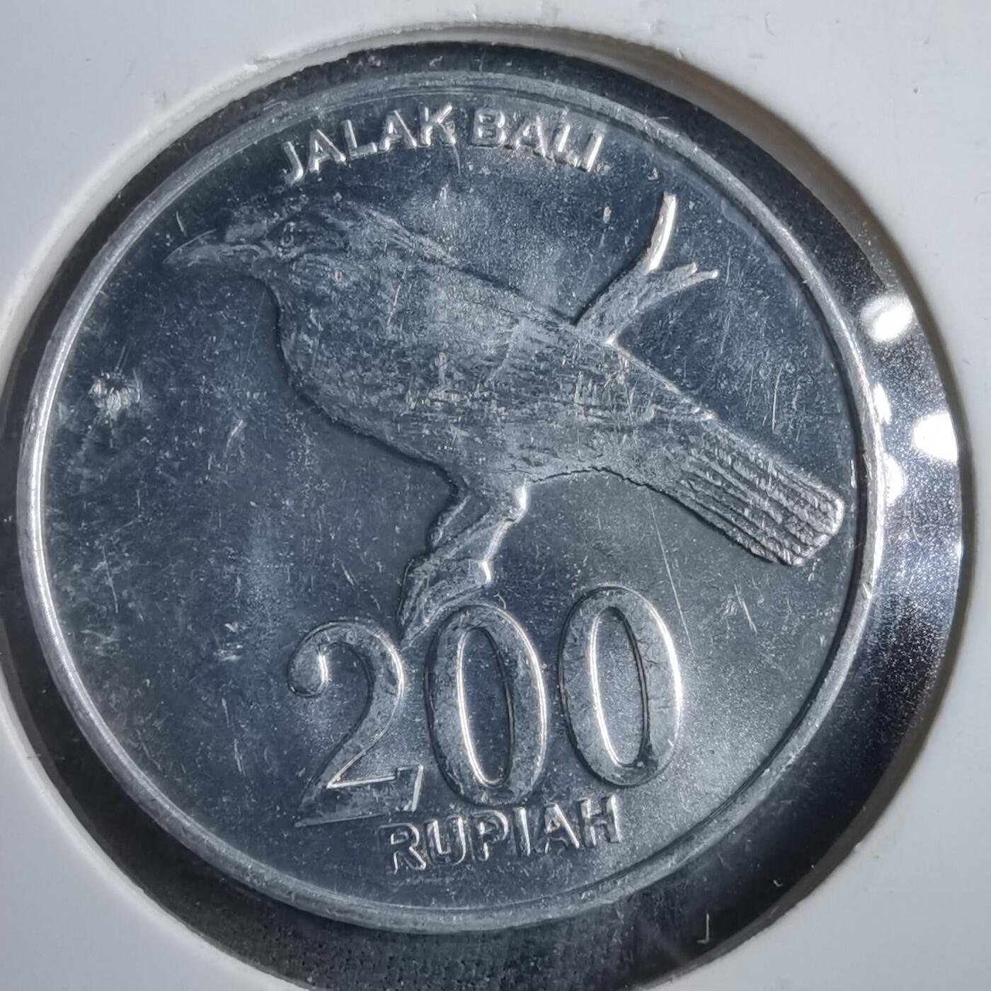 沼泽如烟--第902场