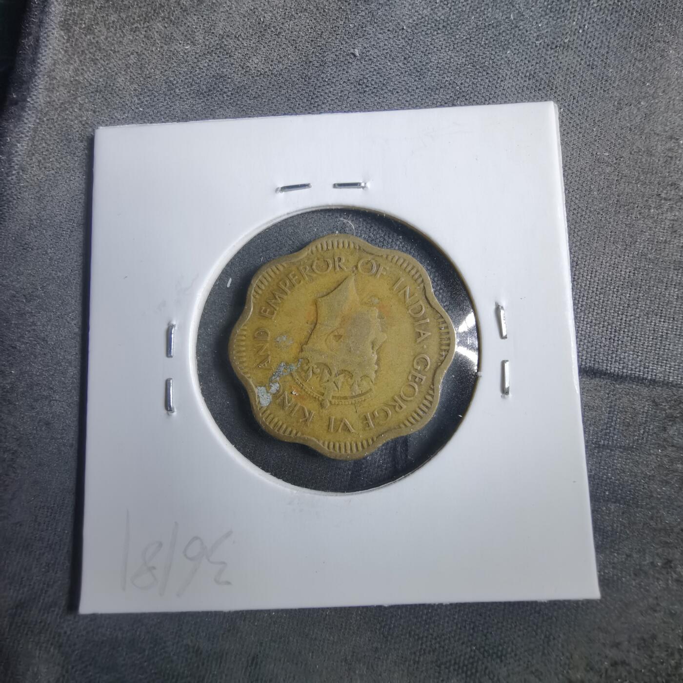 沼泽如烟--第902场