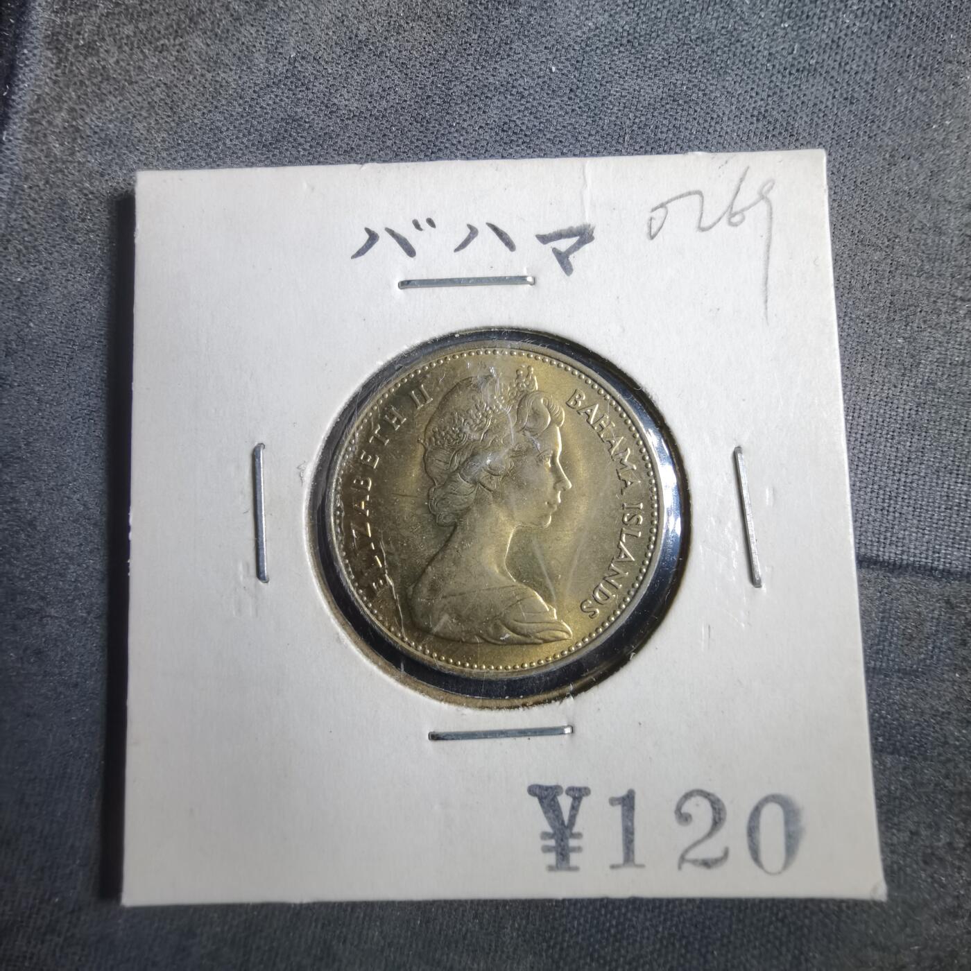 沼泽如烟--第902场