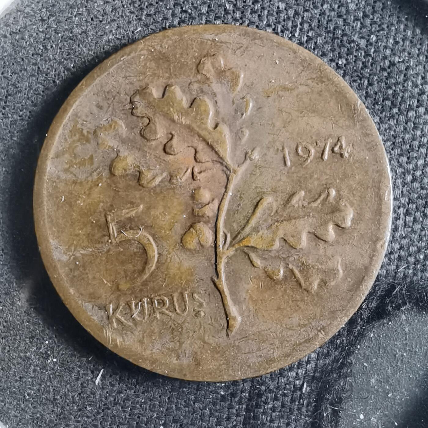 沼泽如烟--第902场