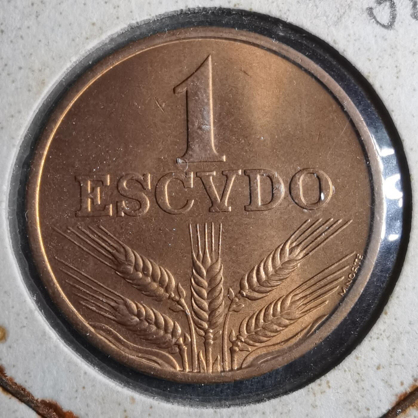 沼泽如烟--第902场