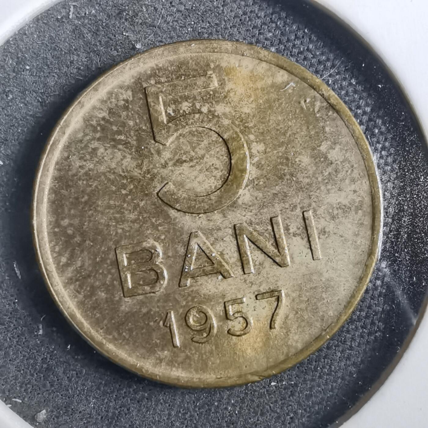 沼泽如烟--第902场